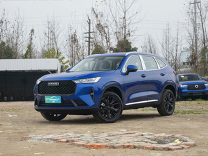 <span class=keywords><strong>5</strong></span> koltuk araba SUV Hybrid H6s 1.5T DHT hibrid araba 2WD 4WD benzinli araç SUV SUV H6 2025 DHT-PHEV 1.5T yeni enerji otomotiv