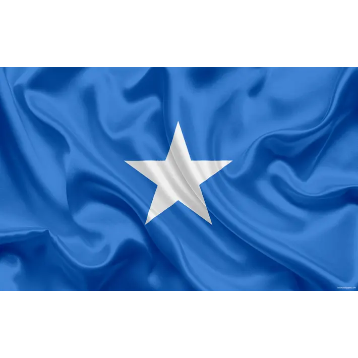 HUI FENG commercio all'ingrosso paese di pubblicità a buon mercato Somalia bandiera bandiera Nazionale
