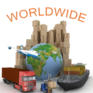 Efficient DDP Sea Freight Logistics Service for International Shipment Free Package Storage UPS FedEx Compatible LCL+Express - Product Image 6