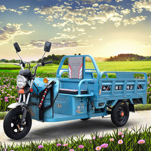 <span class=keywords><strong>Chang</strong></span> <span class=keywords><strong>Li</strong></span> becak listrik bermotor energi baru untuk sepeda roda tiga dewasa untuk dijual - Product Image 4