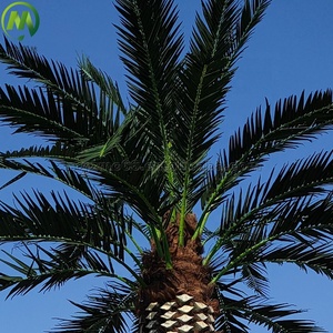 Satılık özelleştirilmiş açık yapay Evergreen ağaçları plastik palmiye ağaçları yapay tarih ağacı - Product Image 2