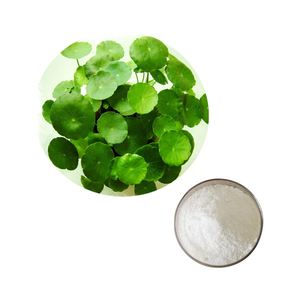 HONGDA Supply Asiaticoside Powder Centella Extract Centella <strong>Asiatica</strong> Extract Centella <strong>Asiatica</strong> Extract Price - Product Image 2