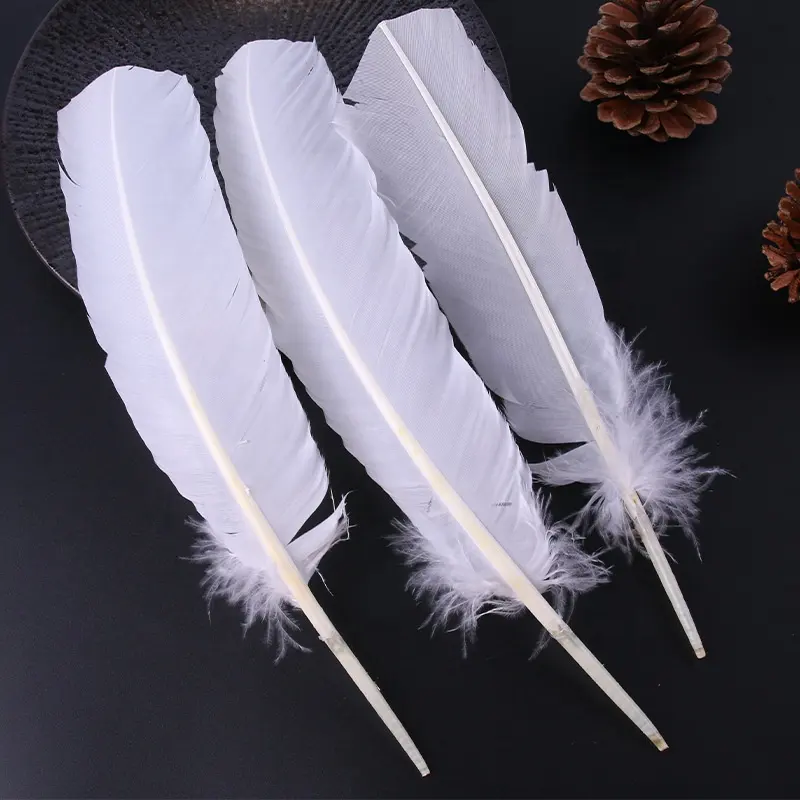 Atacado branco mix cor DIY artesanato Turquia asa pena penas alta qualidade natural carnaval plumas para venda barato