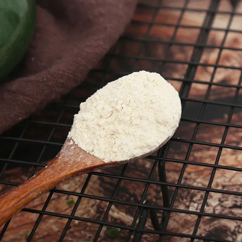 말린 마늘 가루 조미료 탈수 마늘 가루 뜨거운 공기 건조 마늘 가루