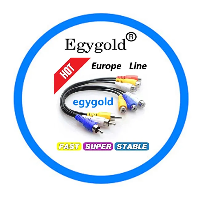 Egygold CCcam 2024 Nueva Europa 1 año Europa cccam 7 líneas