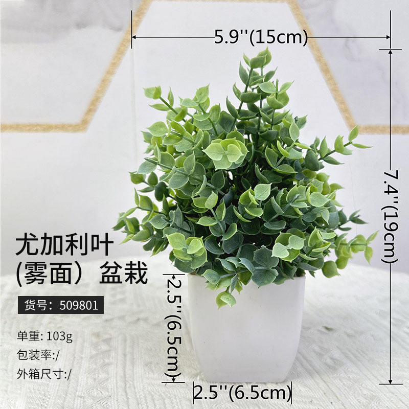 509801 brouillard d'eucalyptus (de 125 bassins)