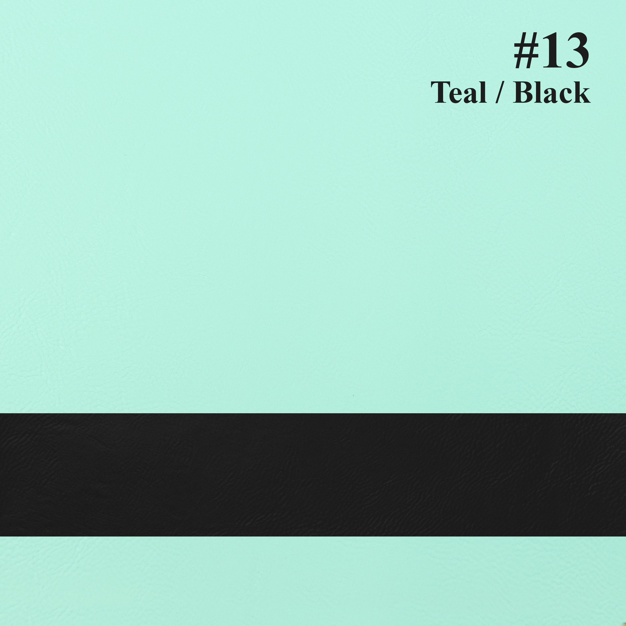 #13 teal/black