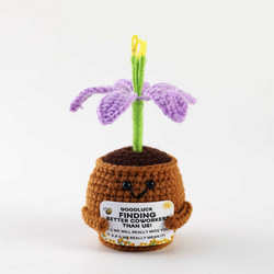 Orchid purple