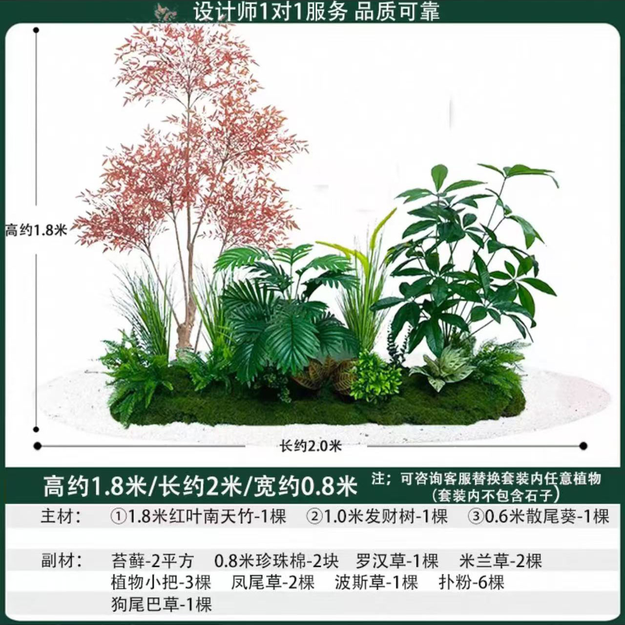 money tree 2mlong
