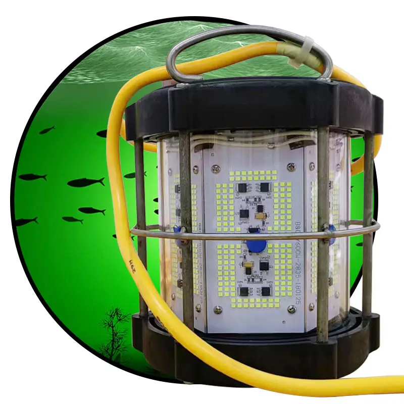 Luz LED sumergible para pesca, equipo de pesca profesional resistente al agua IP68, superventas
