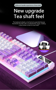 Venta al por mayor, personalizado, respetuoso con el medio ambiente, cómodo, colorido, multicolor, ordenador, PC, juegos, Teclado mecánico y ratón, juego combinado - Product Image 5