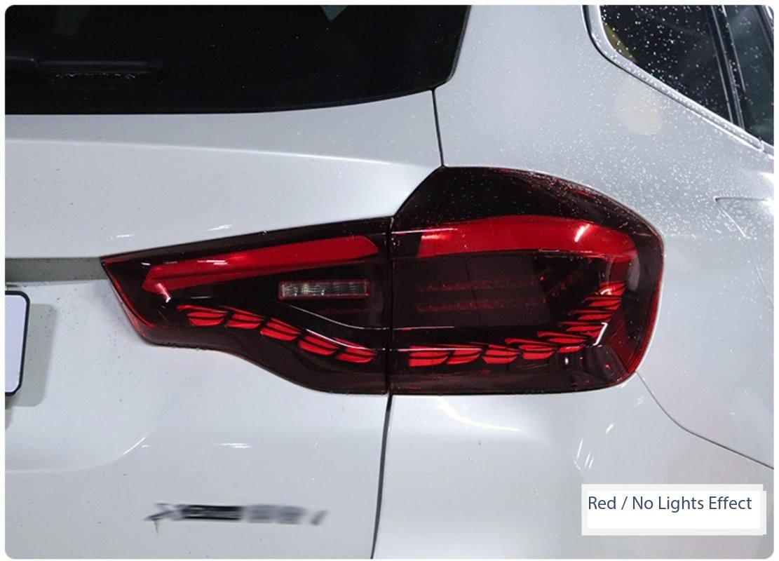 Double dragon scales