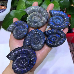 Fósil de labradorita de color natural tallado a mano, conchas de cuarzo, especímenes de caracol, venta al por mayor - Product Image 6