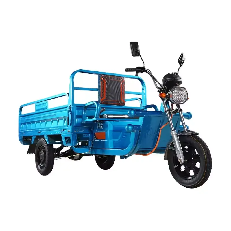 JOYKIE 1200w 48v 60V 20A Hot Electric motorised Tricycles Cargo Truck Big Wheel Tricycle for Adult sale