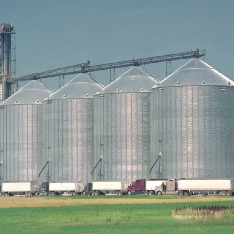 HKB-Silos de cereales para aves de corral, 100-10000 toneladas, almacenamiento de granos de Silo de maíz, en venta