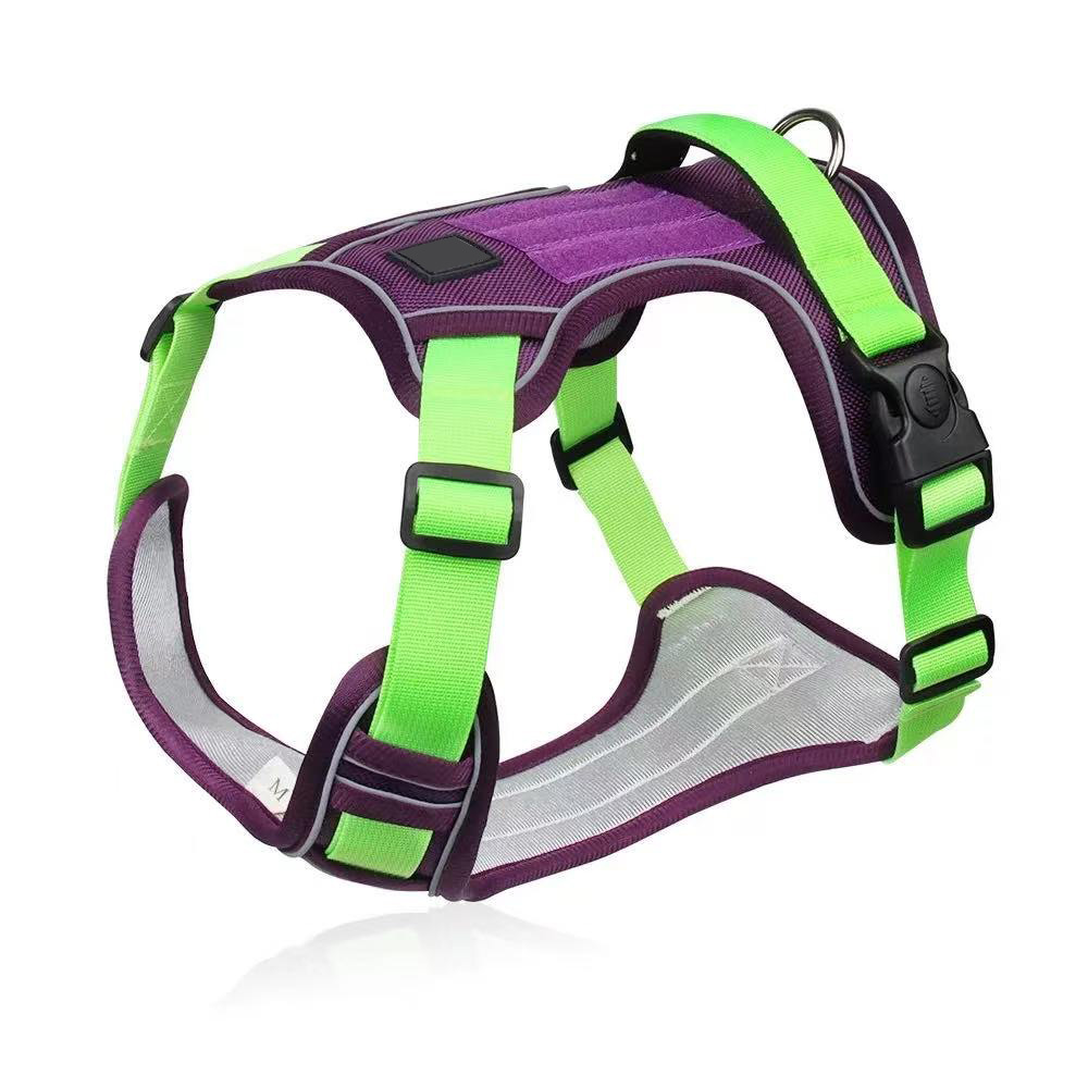 Purple & Lime Green