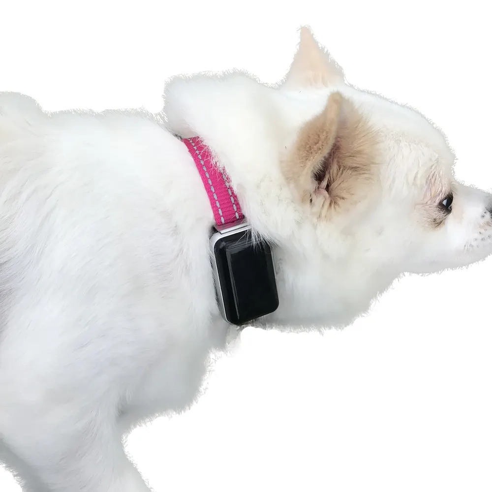 Mini chip de rastreo gps para perro