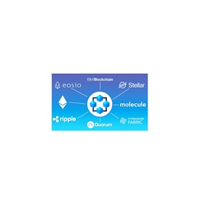 Internet <strong>Software</strong> Development Blockchain <strong>Software</strong> Development for Ensuring Proper Work Function From India - Product Image 2
