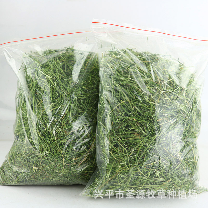 Tallos de Alfalfa Americana Importada 500g