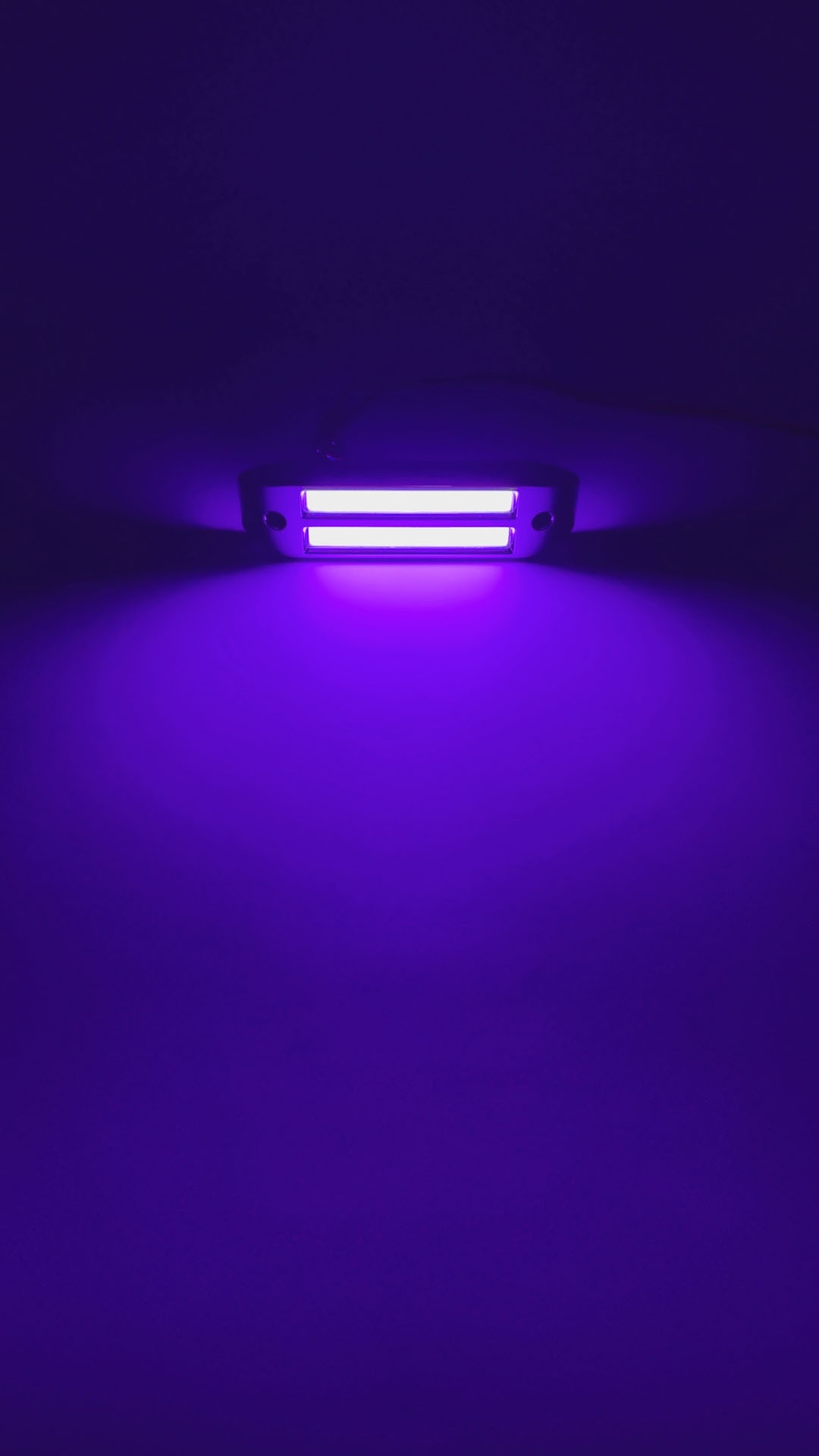 Pourpre