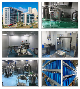 Automatic Gram Stainer - Product Image 6