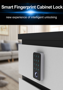 Baoxin Factory Smart keyboard Code Digital Number Cabinet Lock Electronic Front Fingerprint Biometric Passcode Smart Door Lock - Product Image 3