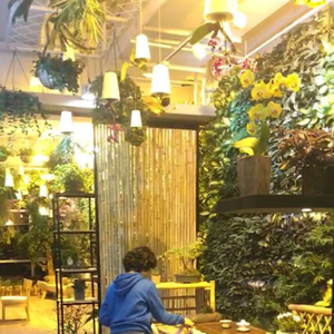 屋内と屋外の空の植木鉢を逆さまにぶら下げている装飾的なプランター