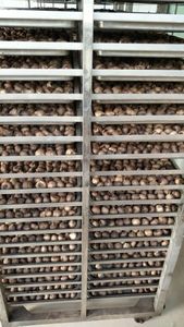 4060 liên tục nhiệt độ lên men phòng điều khiển 1000L công suất cho tỏi Natto gạo rượu lên men lõi PLC động cơ - Product Image 5