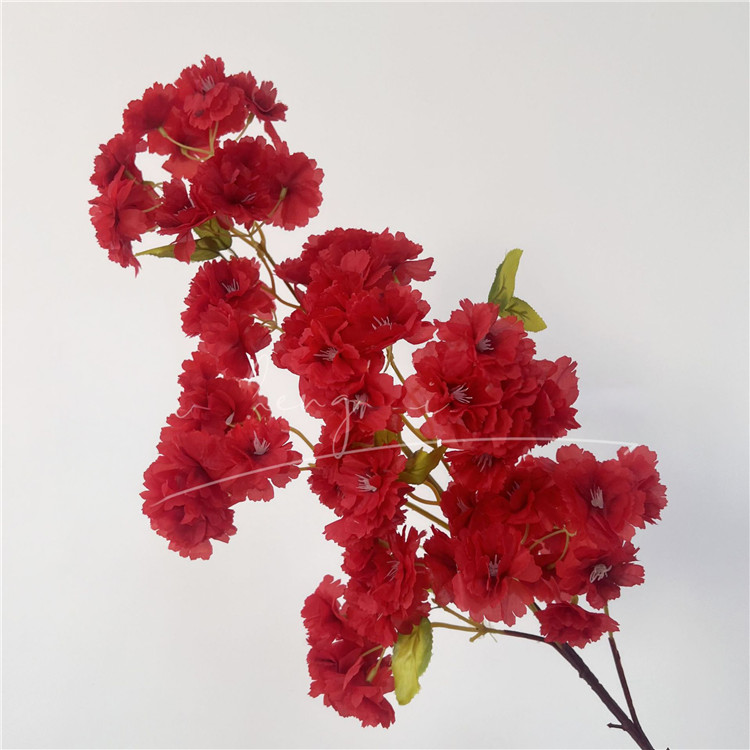 Rojo