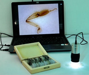 Microscopio digital de bolsillo portátil con aumento de 2.0MP 240X con función de medición para analizar células animales y vegetales, especímenes - Product Image 3