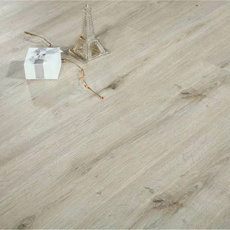 8004
