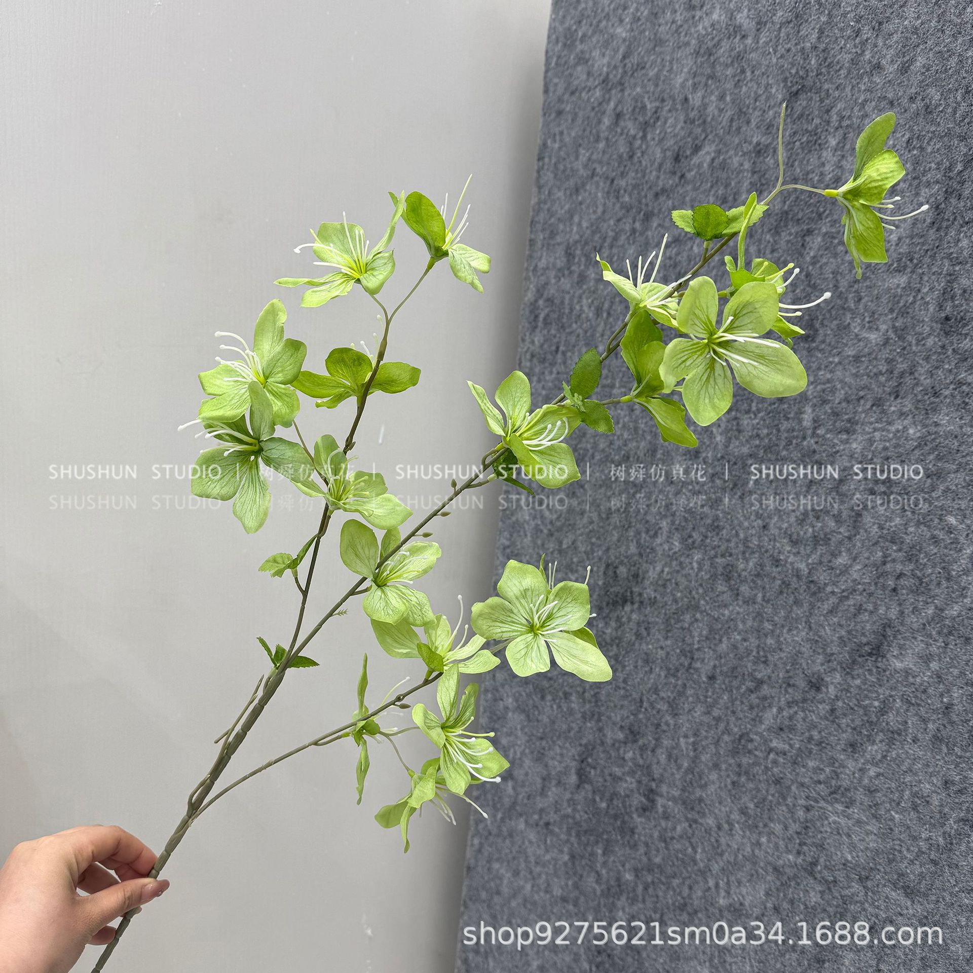 Jasmine-green
