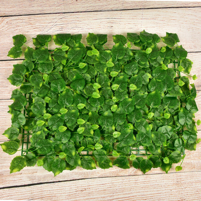 Feuilles de vigne colorées