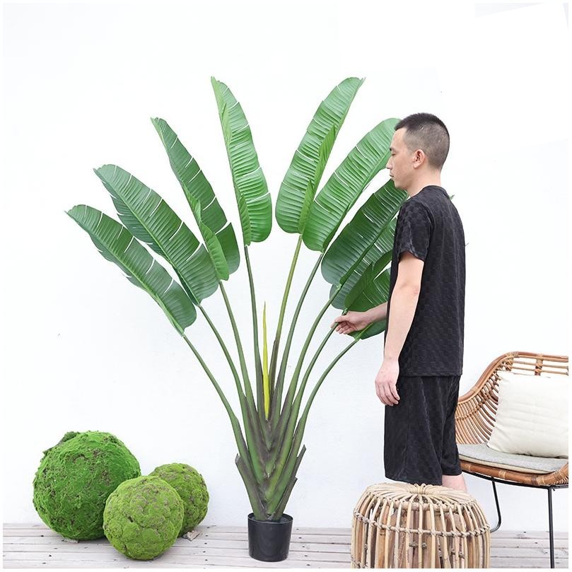 Plante en pot Oiseau de Paradis Overlord de 190 cm