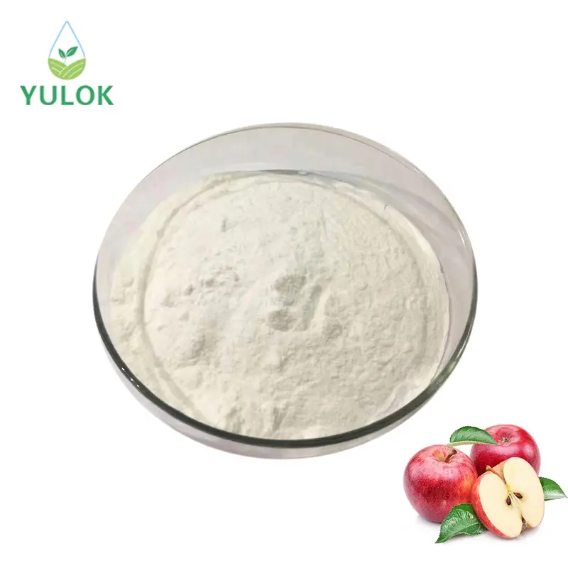 Factory Supply Instant Soluble Natural Organic Red Apple Juice Powder Used for Food Industry
