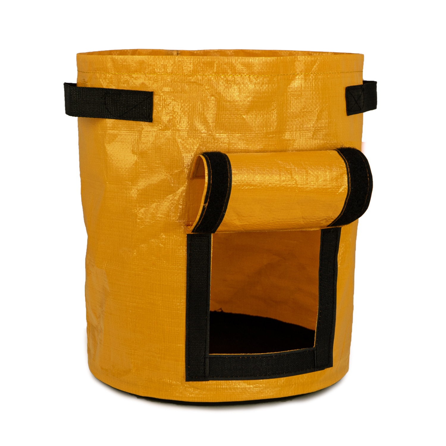 Jaune vif