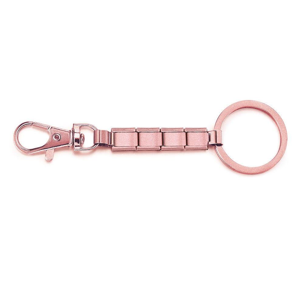 W016-3Polvere di rosa verniciata a spruzzo