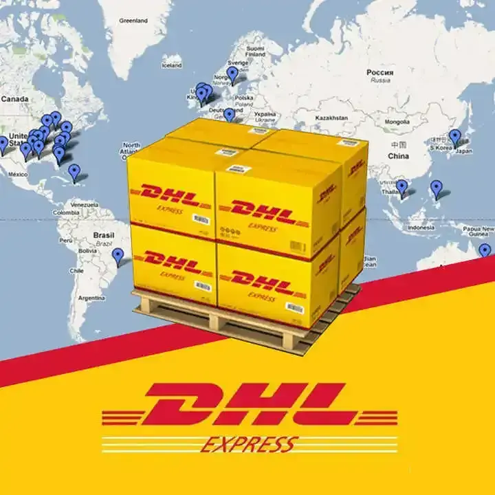 Servicio internacional puerta a puerta UPS EMS TNT FedEx DHL servicio express a EE. UU. CA Suecia Alemania Francia Polonia