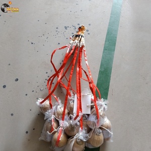 6 inch hiển thị vỏ pháo hoa lễ kỷ niệm lửa bánh pháo hoa - Product Image 4