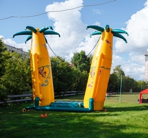 Trò chơi nhảy Bungee cây cọ cao 8M, Kangaroo Trampoline "Cây cọ" Thanh Niên nhảy Bungee - Product Image 4