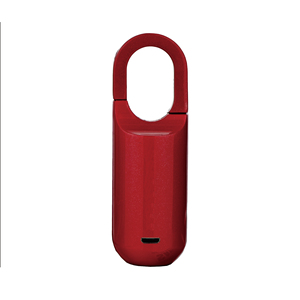 Yüksek kaliteli anahtarsız parmak izi asma kilit elektrikli kapı kilidi/asma kilit parmak izi - Product Image 1