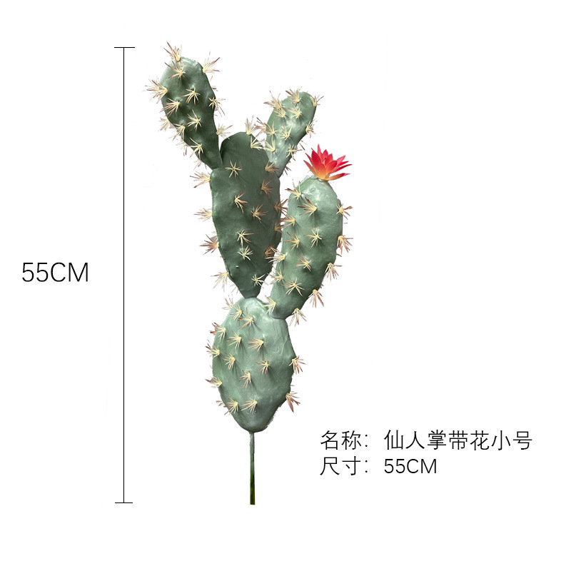 Petit cactus avec des fleurs