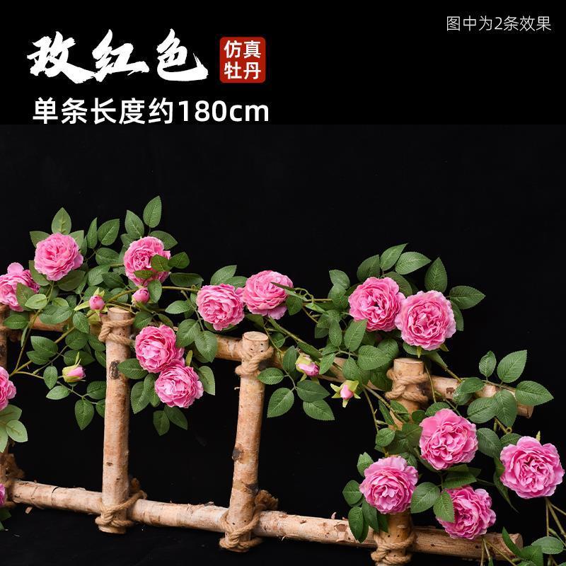 Vignes de pivoine - rose foncé