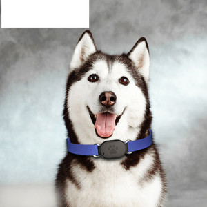 GPS Collar 2G Anti Lost Pet Positioning Locator Tracking GPS <strong>Tracker</strong> for Mini Size Pets - Product Image 2