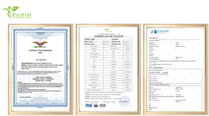 สารสกัดจากเมล็ดต้นหอม10:1คุณสมบัติการสกัดหลายประการผงเมล็ดหอม - Product Image 4