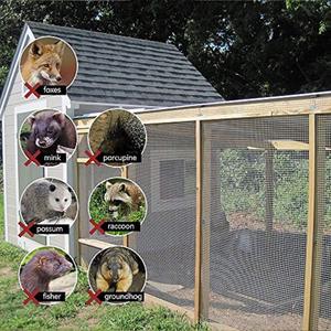 Malla de alambre hexagonal galvanizada de alta calidad para jaulas de conejos de pollo, protección de paneles solares y valla de seguridad antiescalada - Product Image 5