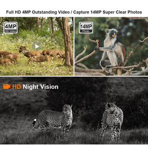 กล้องล่าสัตว์ LS Vision 4K แบบมืออาชีพพร้อมระบบตรวจจับการเคลื่อนไหวและมองเห็นในเวลากลางคืนกล้องส่องทางพลังงานแสงอาทิตย์กันน้ำสำหรับการล่ากวาง - Product Image 6