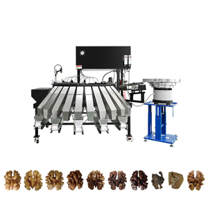 Geschmacklicher Snack chinesisch getrocknet in Schale/ 2023 Kernel Preis Walnuss mit Schale Farb-Sortiermaschine - Product Image 1