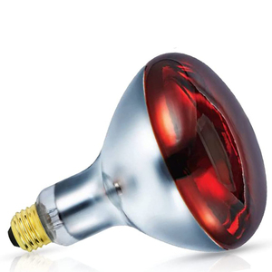 75W 100W 150W 250W kızılötesi terapi lambası tavuk domuz kanatlı sürüngen Amphibian ısıtma lambası Spot ışık