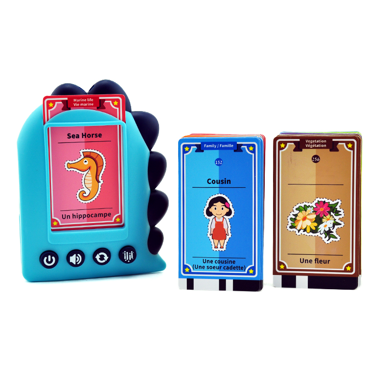 Jouet carte flash Dino français